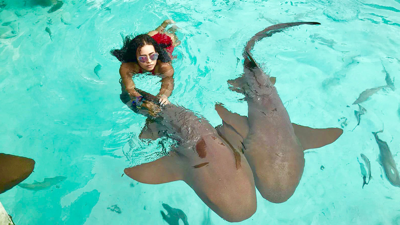 A swimmer beside two nurse sharks in clear turquoise water at Compass Cay